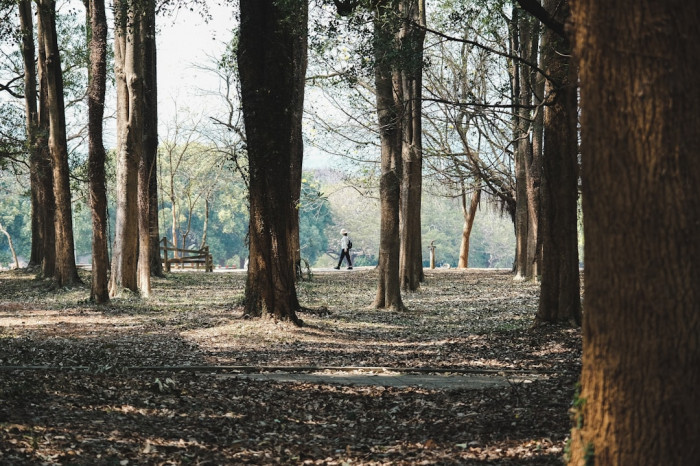 Anlayışın İçin Teşekkürler: İngilizce Karşılığı ve Kullanımı